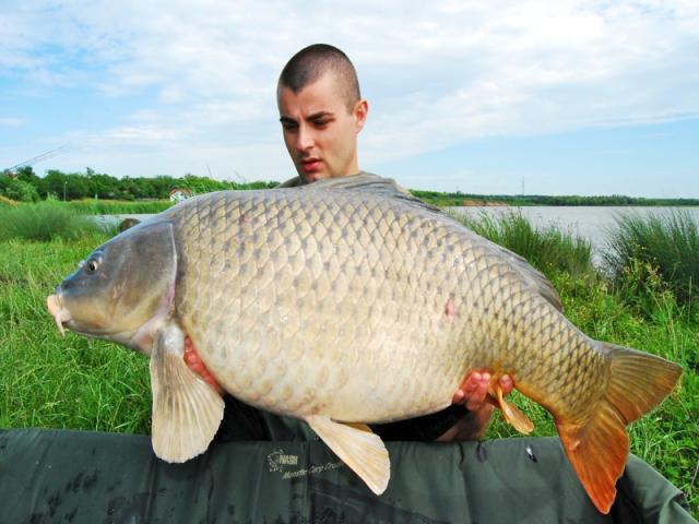  Capturi Sarulesti  - bio-krill-pe-sarulesti-1.jpg